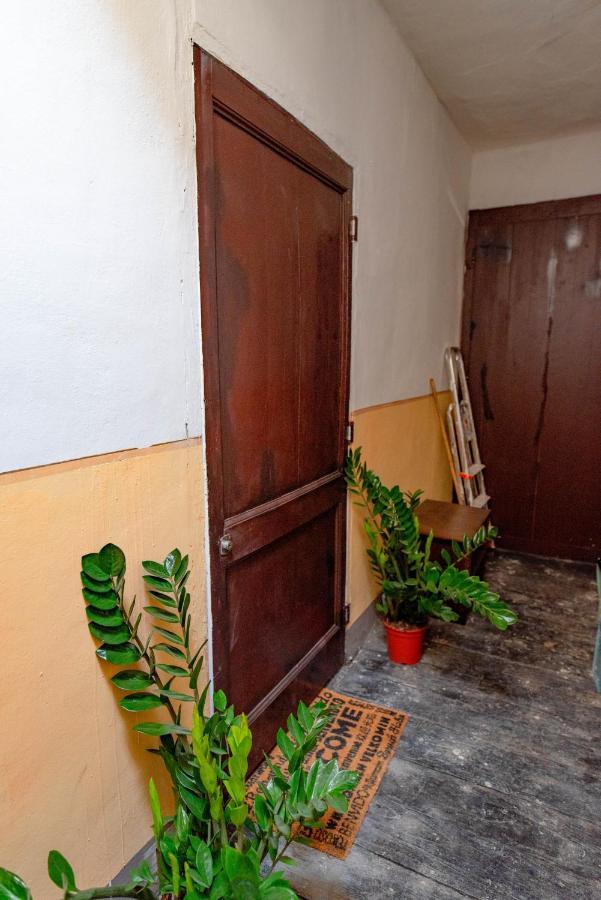 Nella Casa Del Pittore 都灵 外观 照片