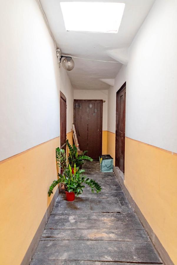 Nella Casa Del Pittore 都灵 外观 照片